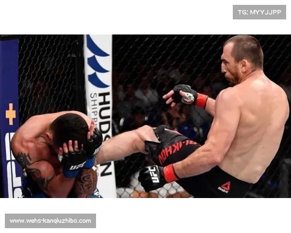 “散打跨界MMA技术分析：柳文龙案例揭示站立打击融合路径”